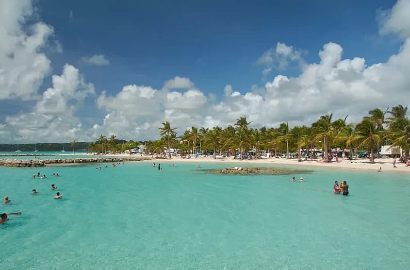 Plage tropicale en Guadeloupe avec palmiers et eau turquoise