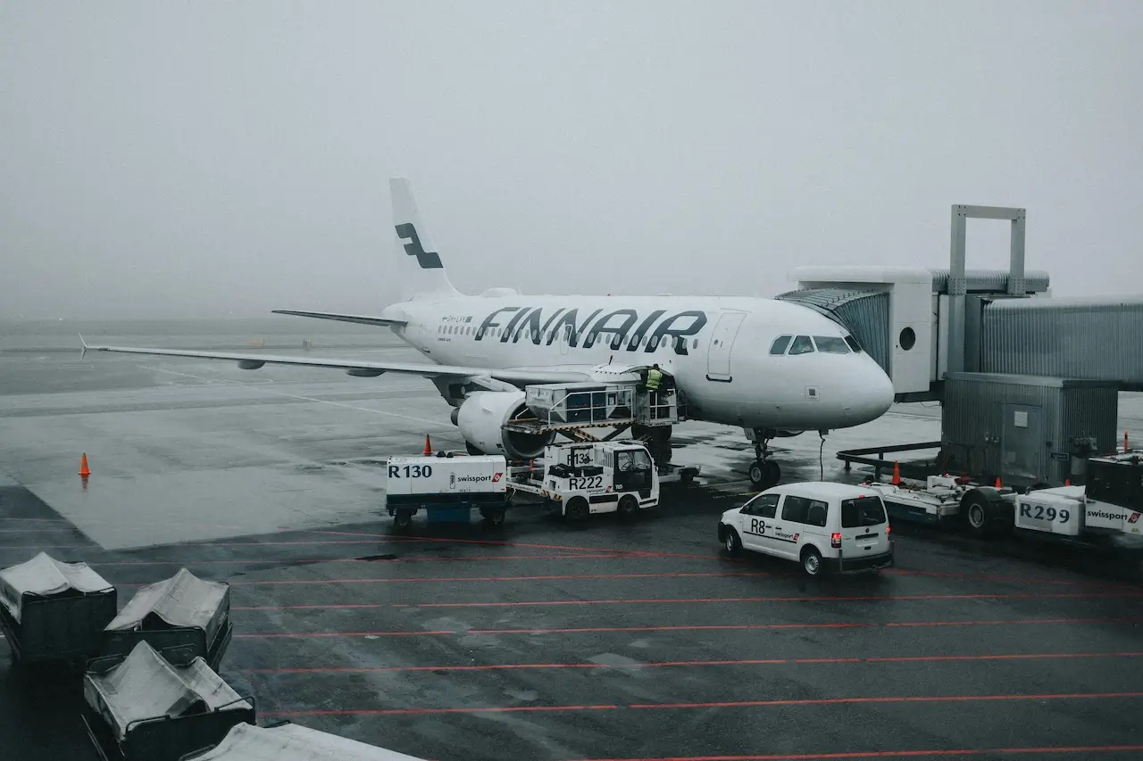 A Finnair est&aacute; entre as companhias a&eacute;reas que permitem gatos na cabine (Europa)