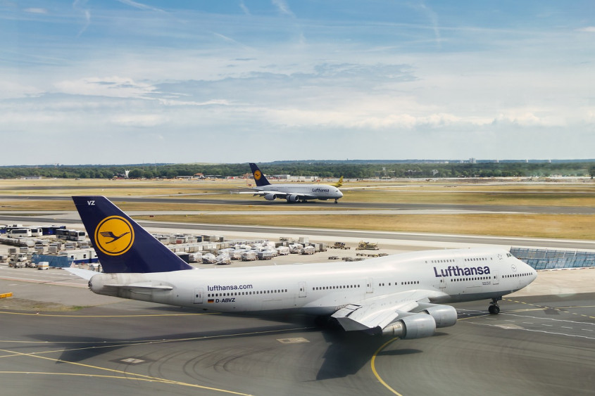 Lufthansa is one of the European airlines that allows dogs