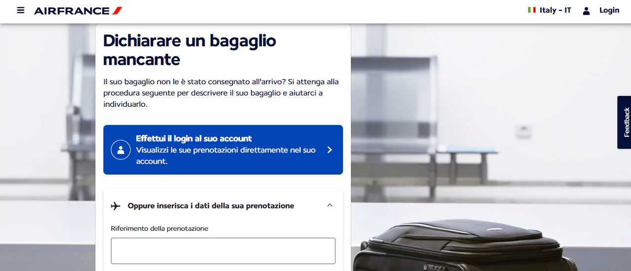 Air France Bagagli