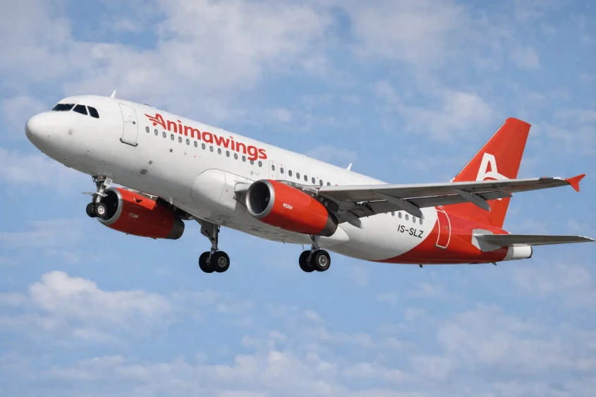 animawings (1)