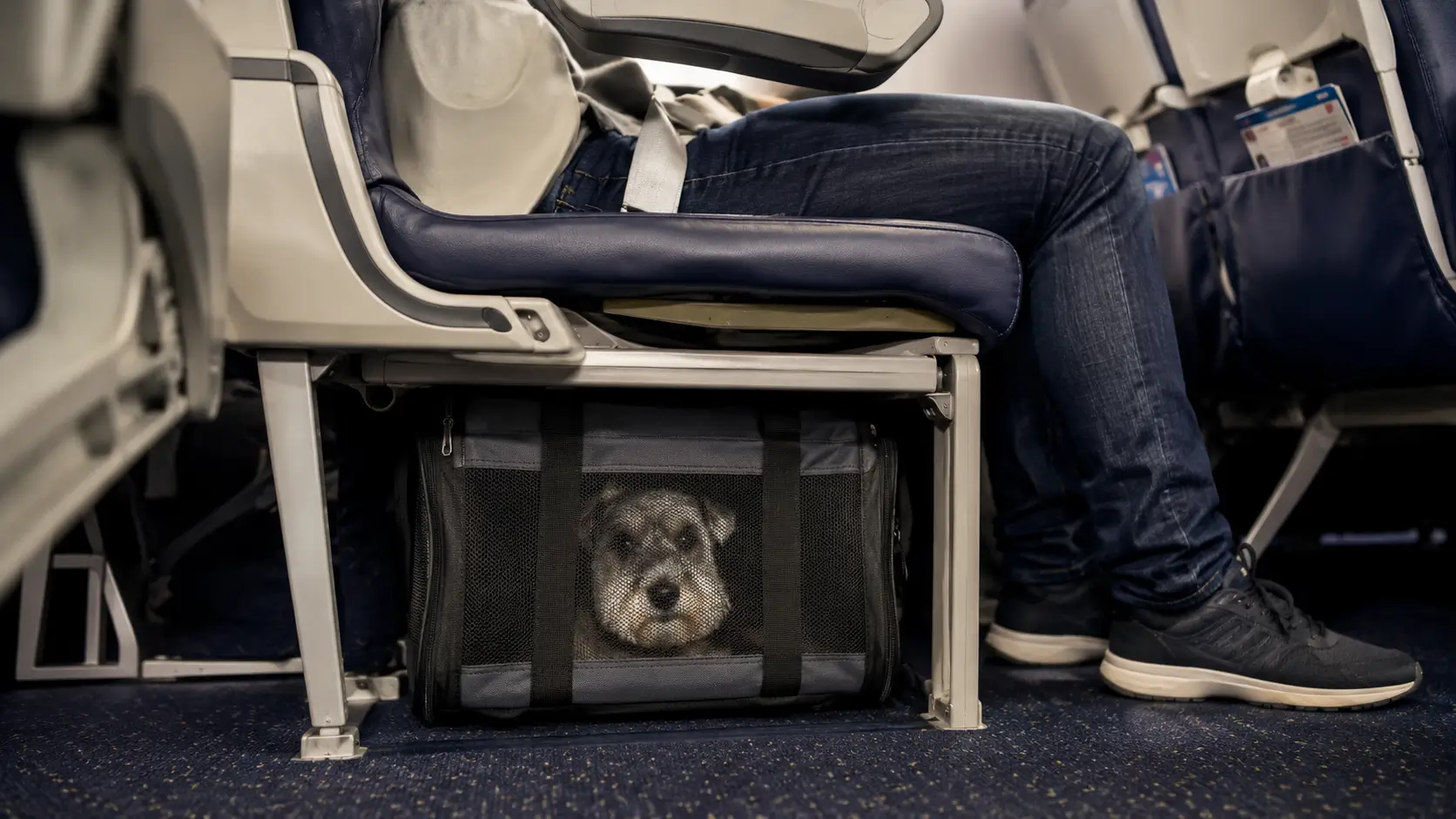 transportna torba za psa ispod sedi&scaron;ta u avionu