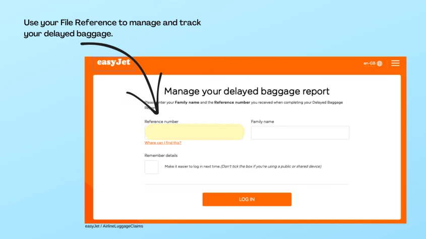 easyJet Baggage Report