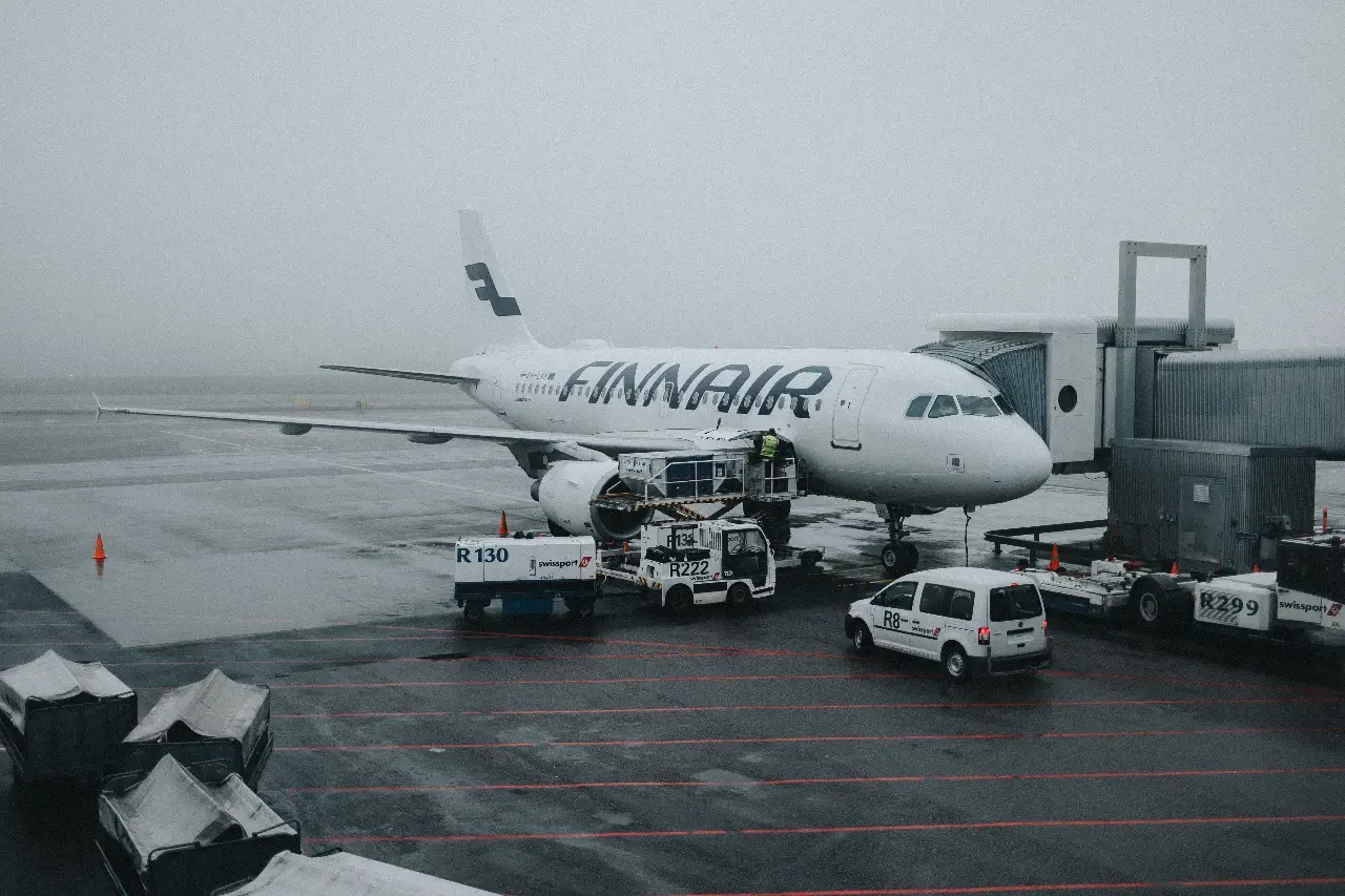 Finnair is among the airlines that allow cats in cabin (Europe).