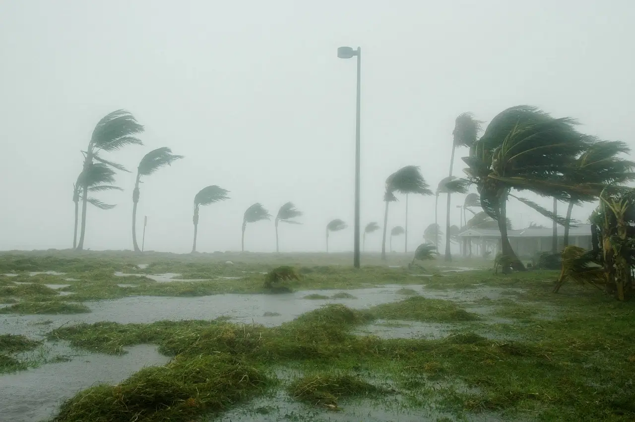 Genrebild över kraftiga vindar i ett land med tropiskt klimat