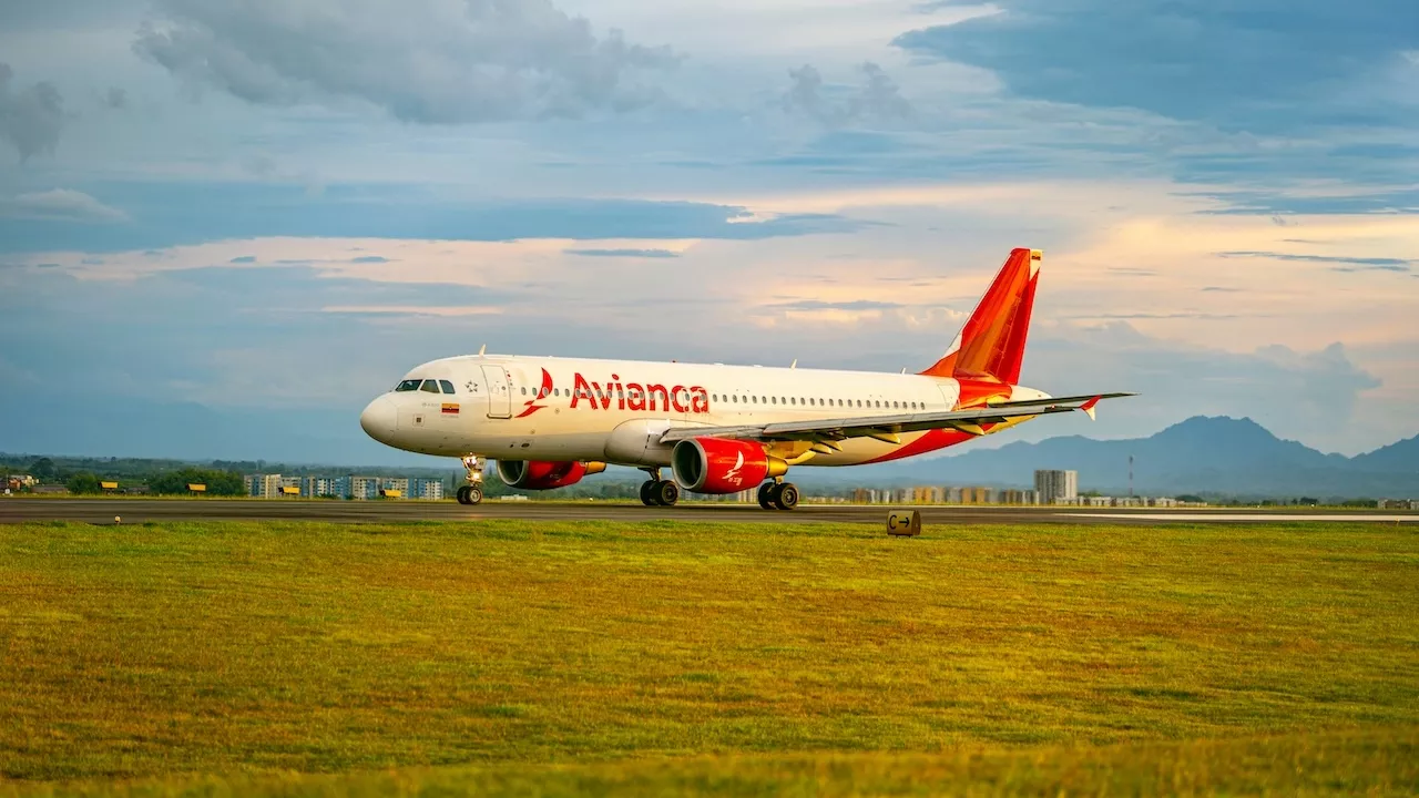 What to Do if Avianca Loses or Damages Your Baggage: An Expert Guide