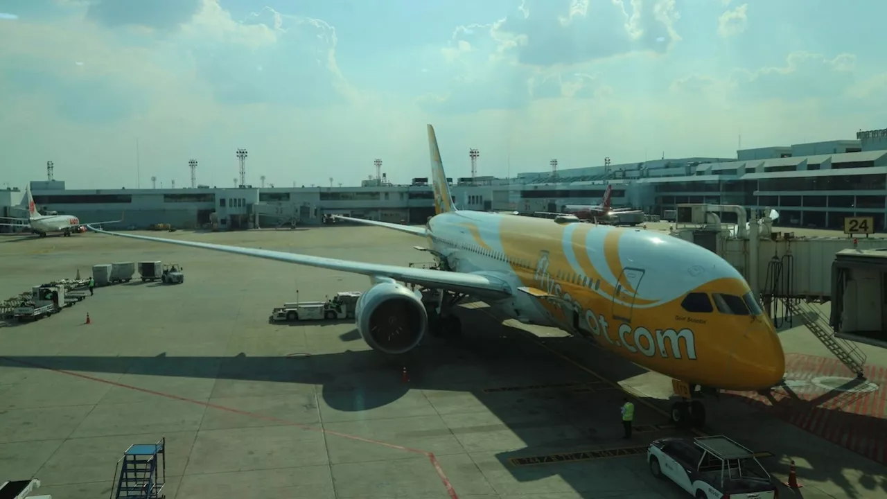 How to Claim Baggage Compensation from Scoot: An Expert Guide