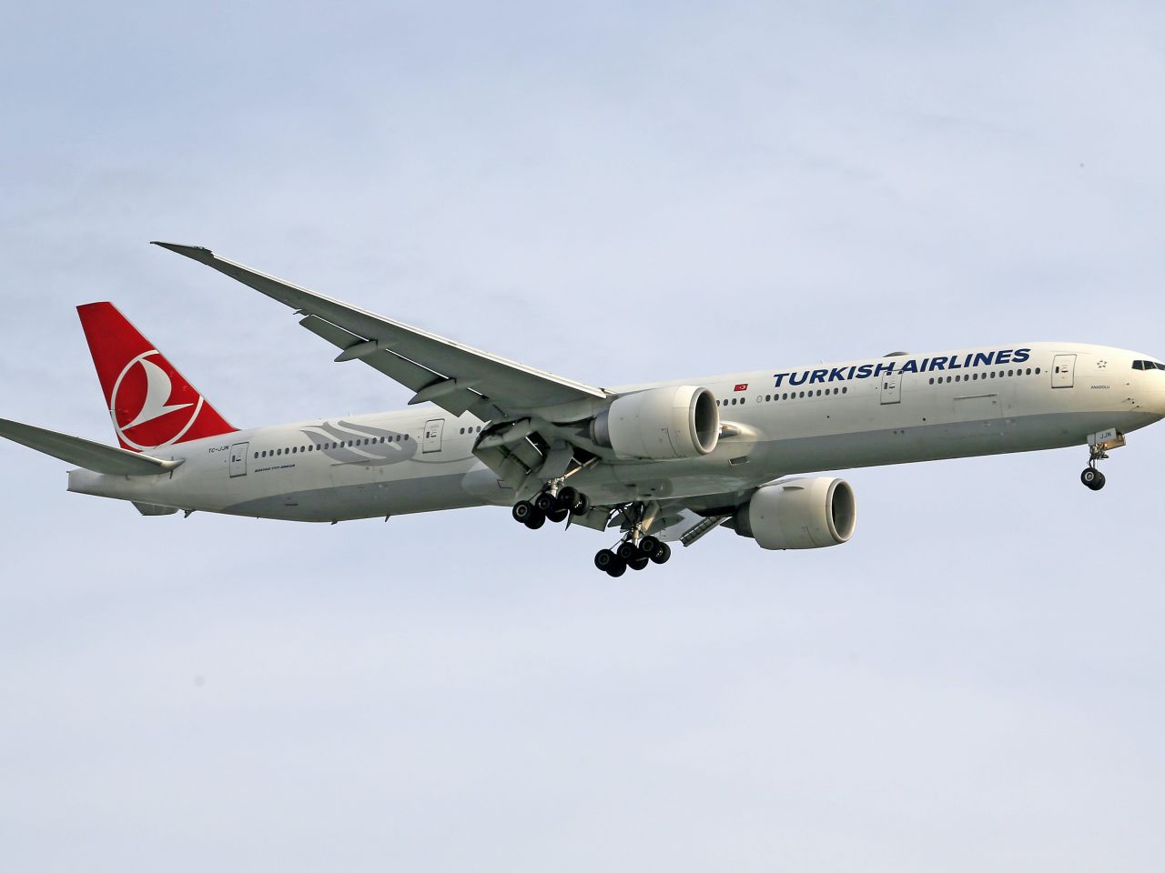 Turkish airlines sales baggage missing