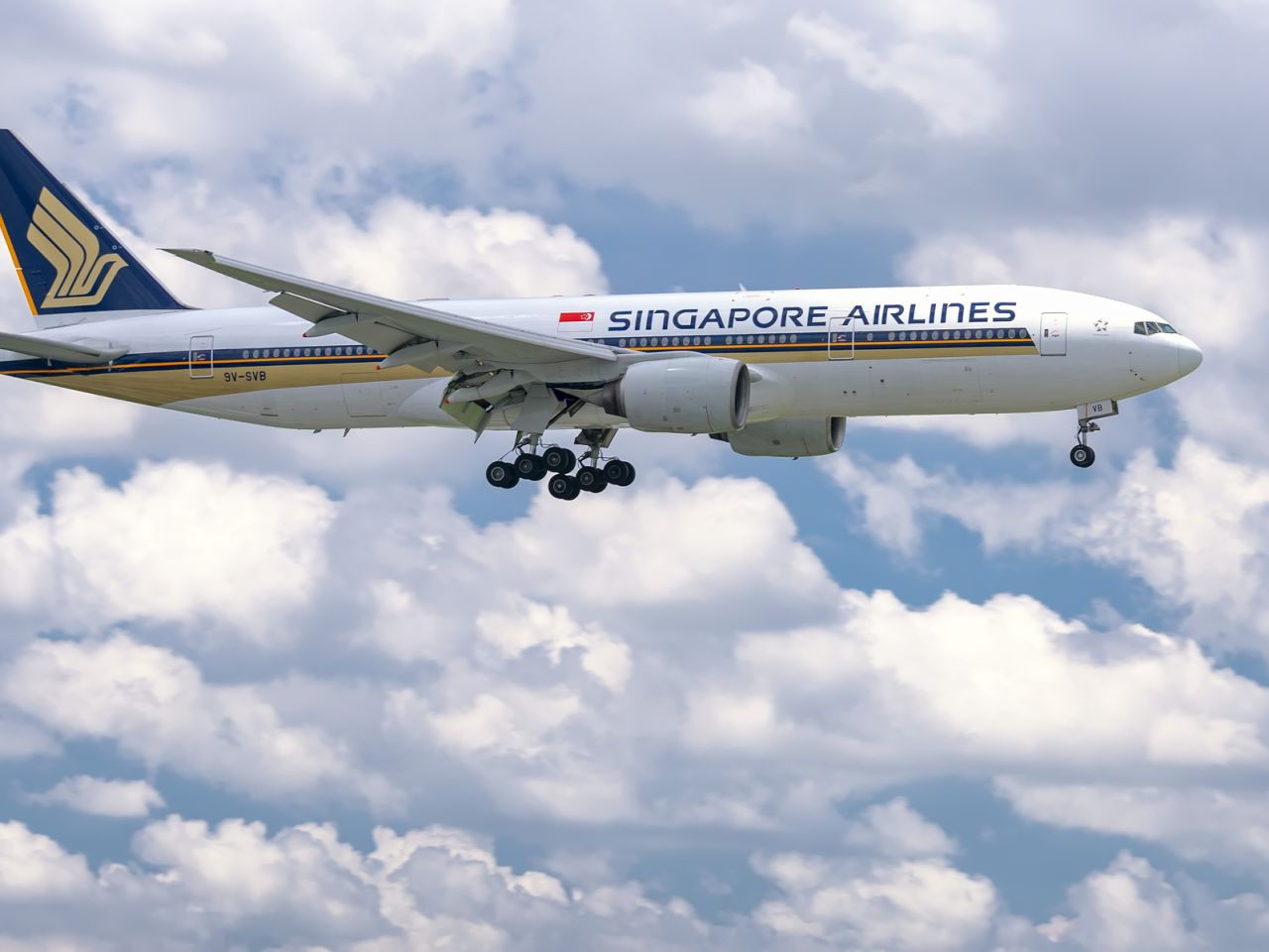 Singapore airlines cheap delayed baggage