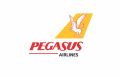 Pegasus Airlines