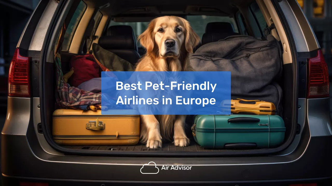 Best Pet-Friendly Airlines in Europe