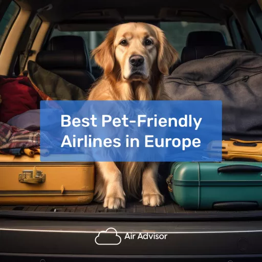 Best airlines best sale for dogs