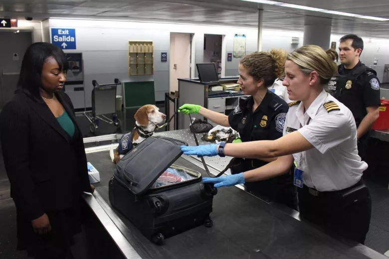 Can I Bring Perfume On A Plane AirAdvisor Practical Tips
