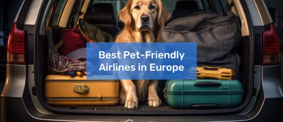 Best Pet-Friendly Airlines in Europe