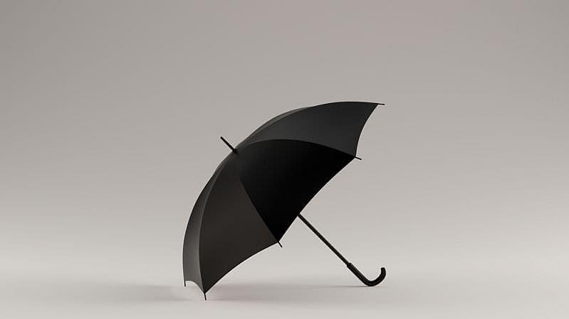 Person holding an umbrella while walking with luggage