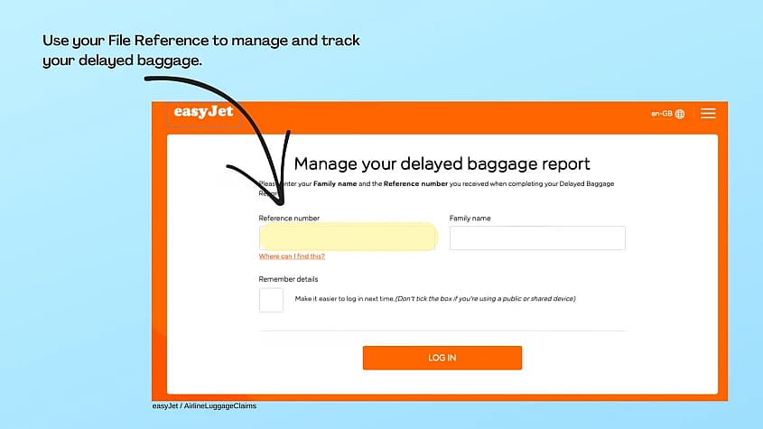 easyJet Baggage Report
