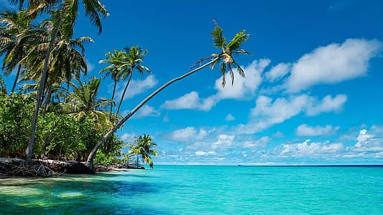 Ritardi e cancellazioni Maldive